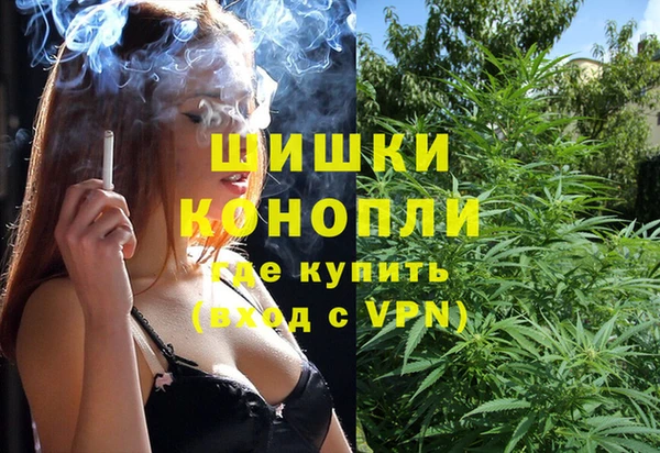 СК Михайловск