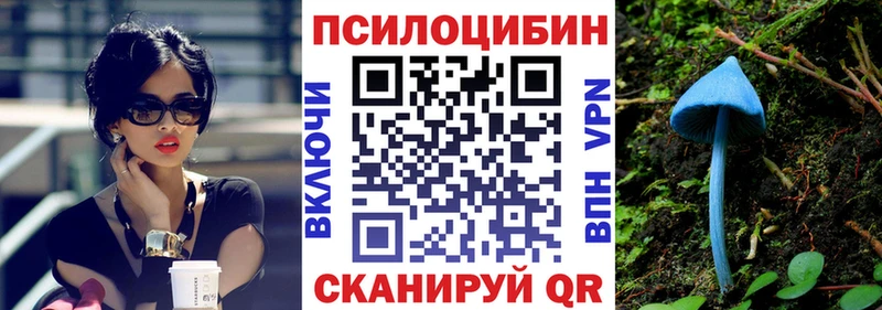 Купить закладки  Ленинск-Кузнецкий  Псилоцибиновые грибы Cubensis 